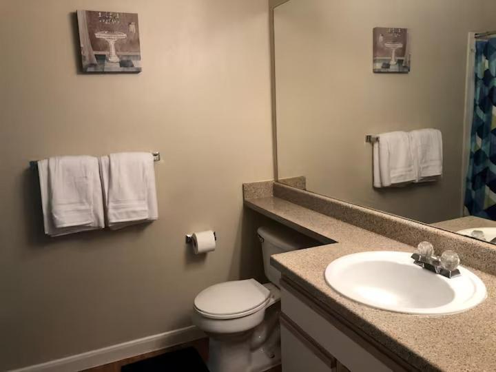 Lavish Apartment Near Houston Medical Centre 客房 照片